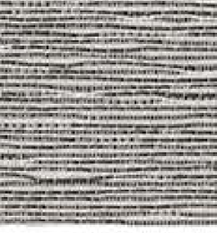 331.01184 · Catalog fabric style