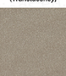 331.01082 · Catalog fabric style