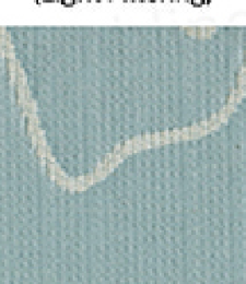 331.02409 · Catalog fabric style