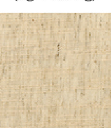 331.02422 · Catalog fabric style