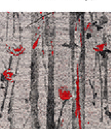 331.02423 · Catalog fabric style