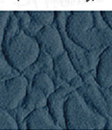 331.02443 · Catalog fabric style