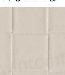 331.02446 · Catalog fabric style